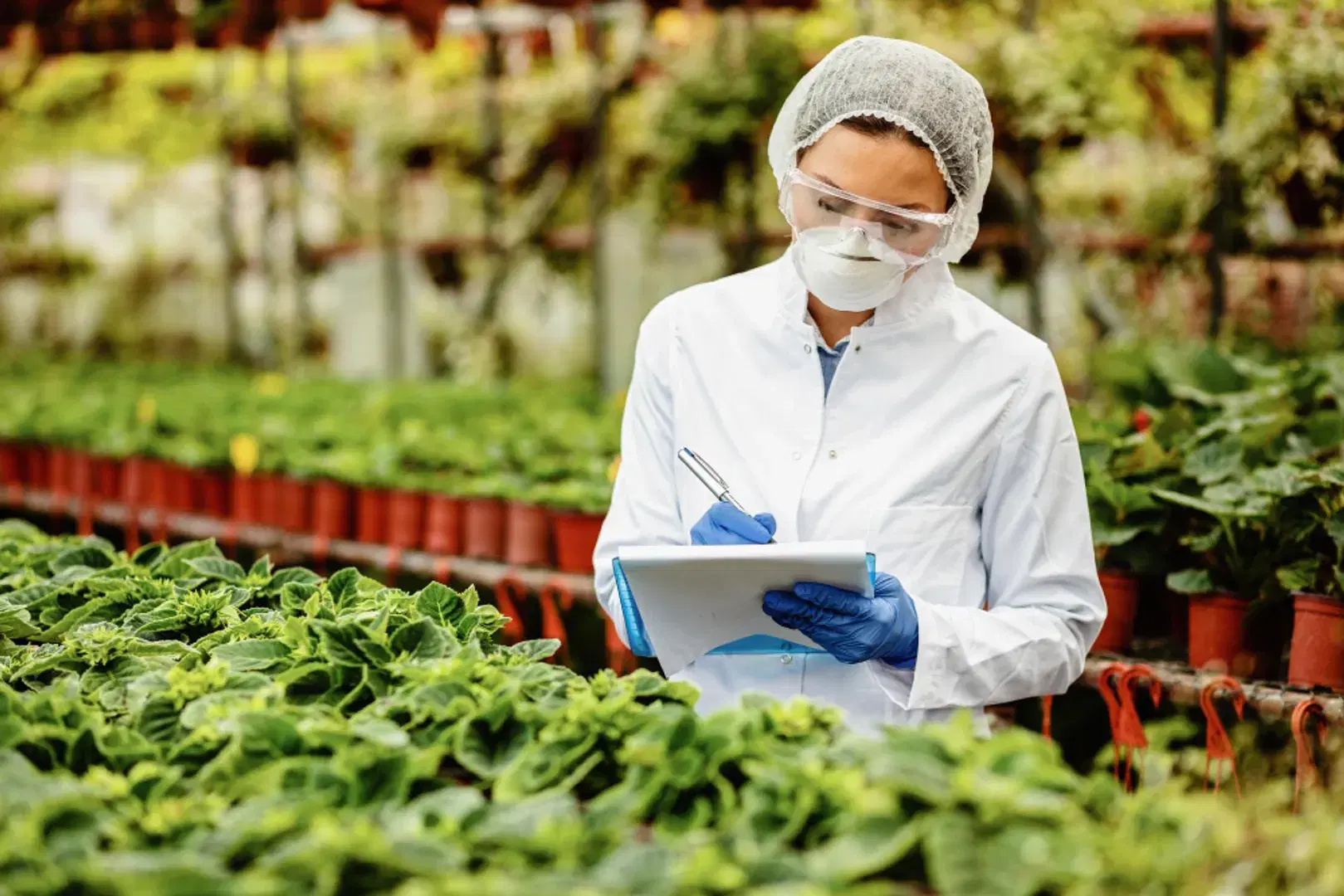 What Is HACCP Food Safety? Key Benefits and Best Practices