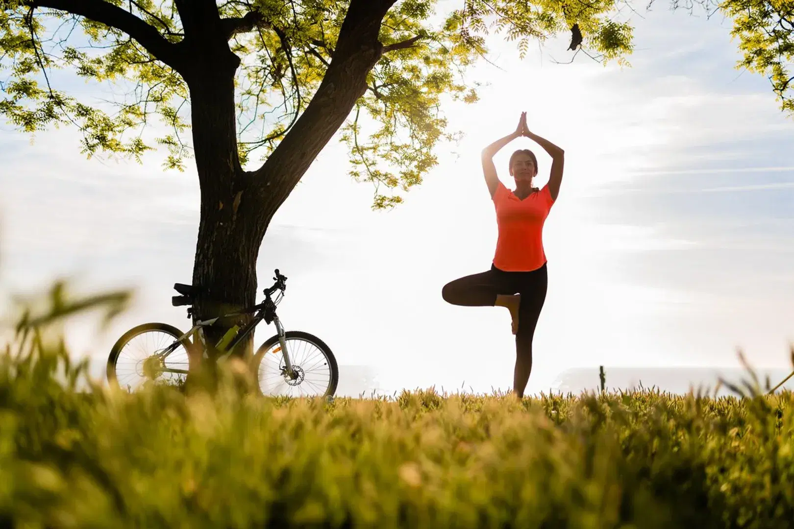 Health and Wellness