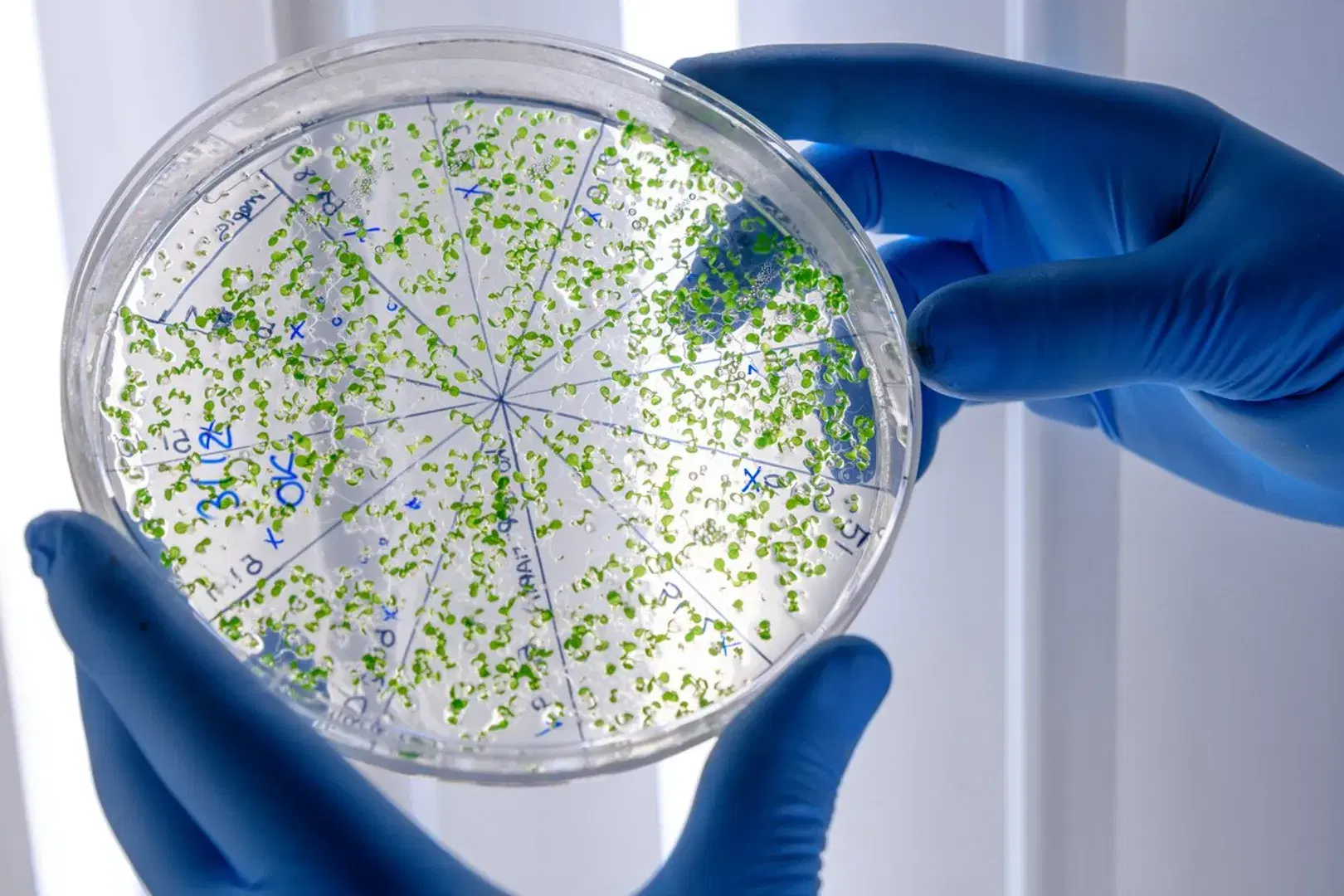 Microbiologist Checklists