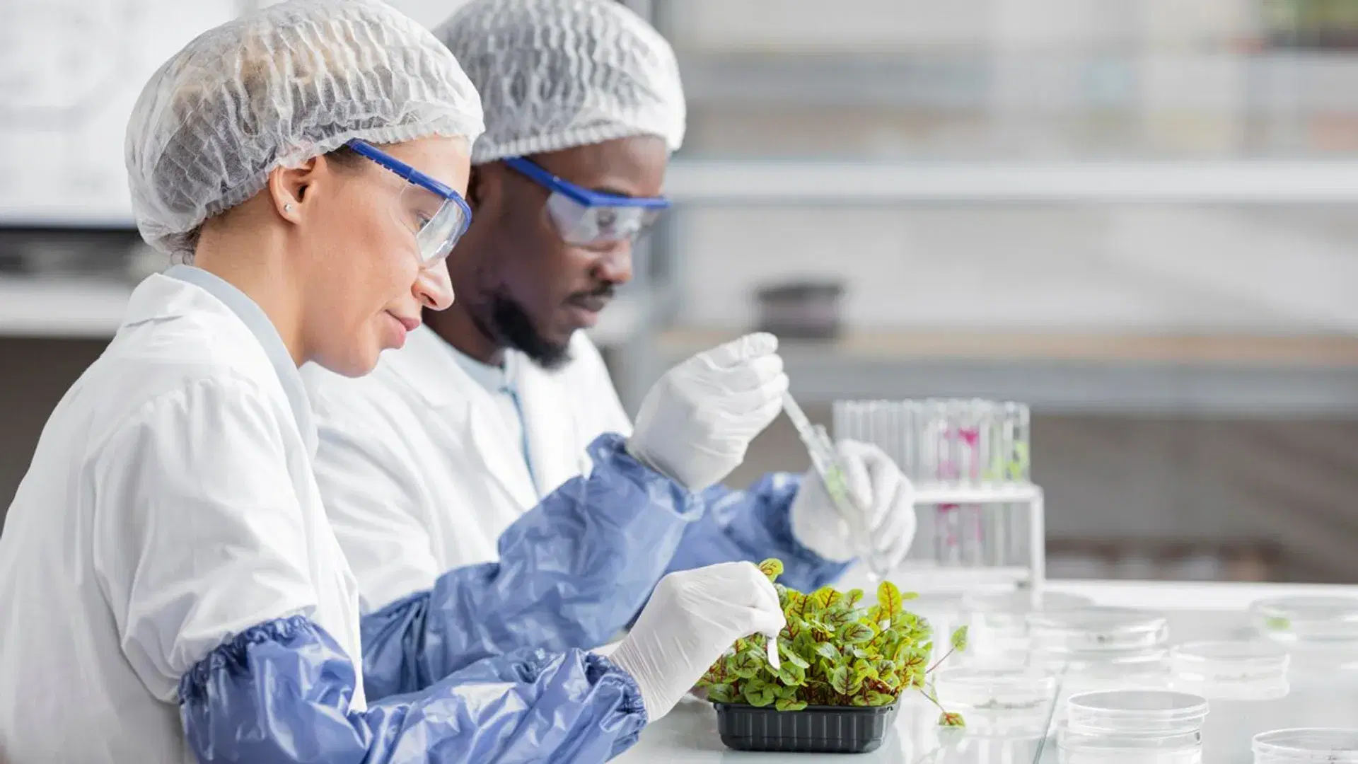 ISO 22000: Ensuring Food Safety Excellence Across the Global Supply Chain