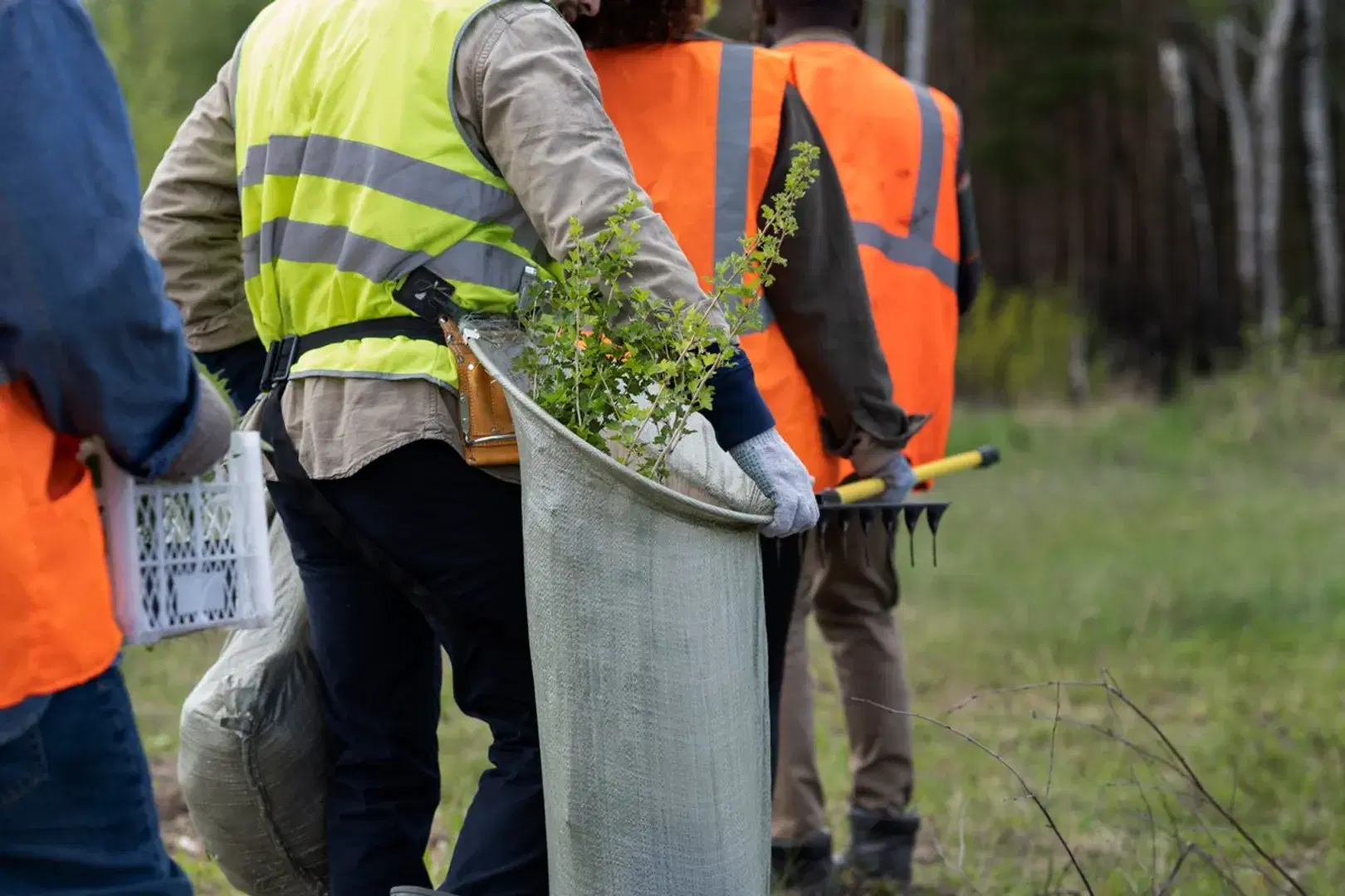 Environmental Services