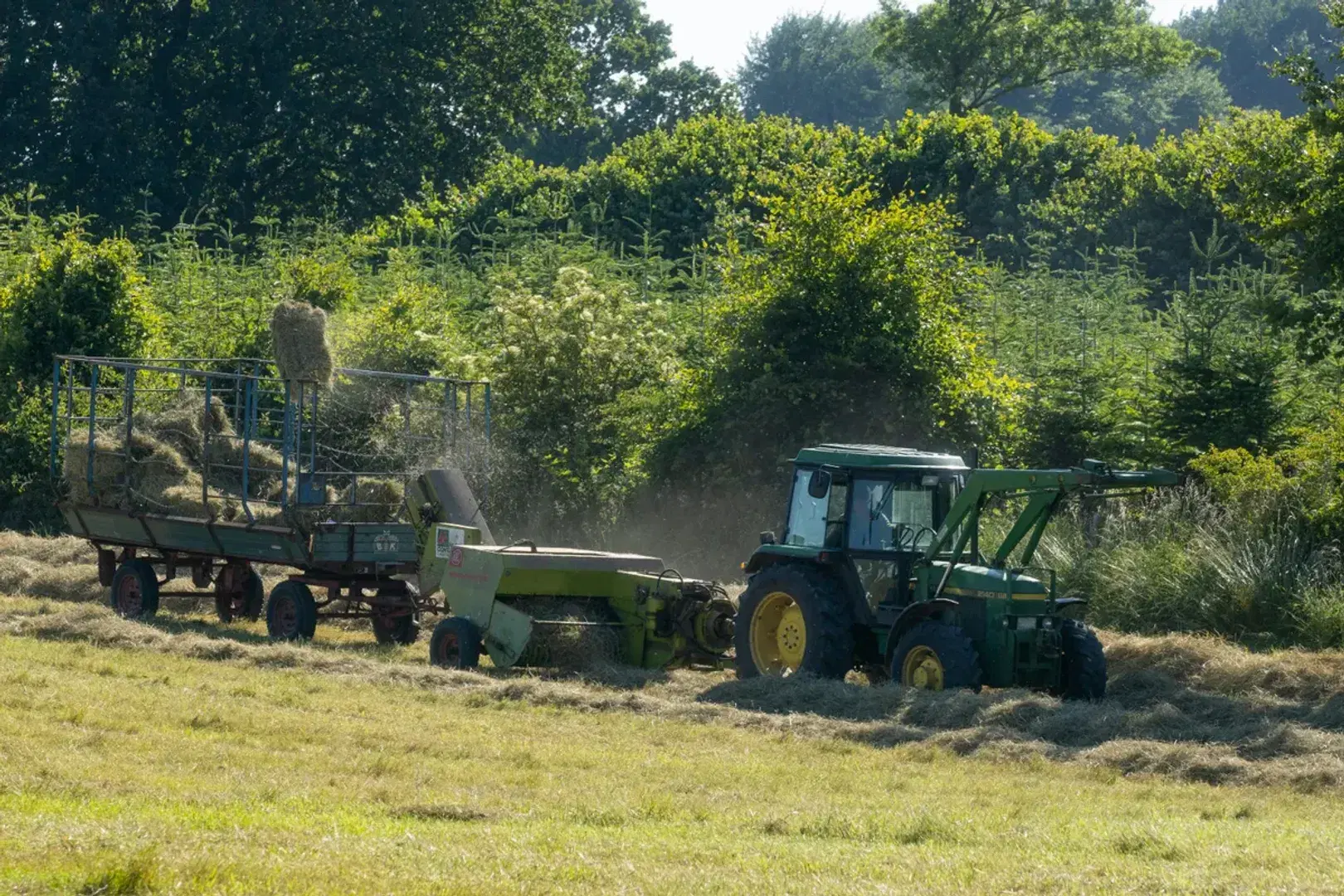Agriculture and Agribusiness